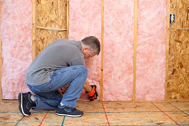 Best Insulation Installation Services in Warminster Heights, PA